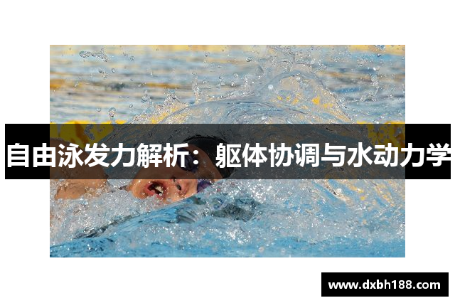 自由泳发力解析：躯体协调与水动力学